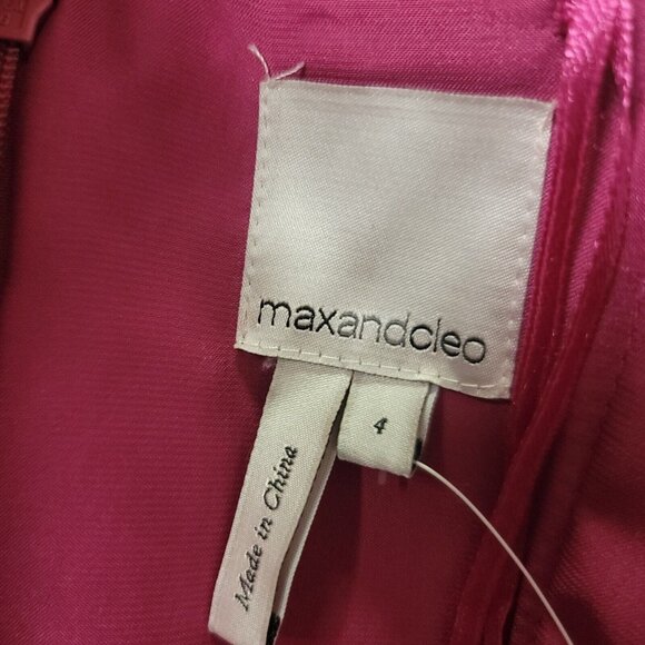 Max and Cleo Womens Strapless Formal A Line Sheer Maxi Dress Size 4 Pink NWT - Picture 7 of 15